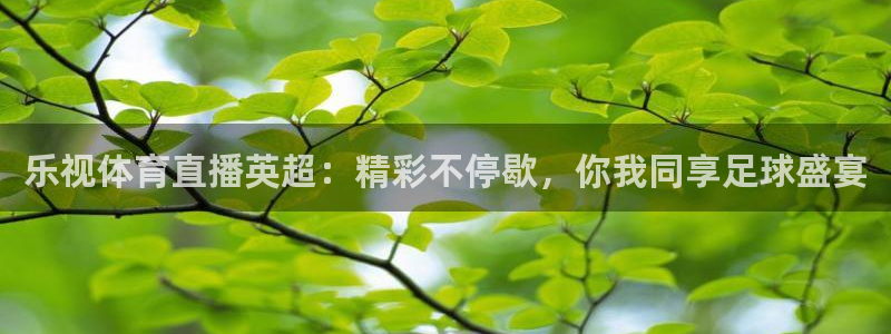 龙门免费直播平台：乐视体育直播英超：精彩不停歇，你我同享足球盛宴
