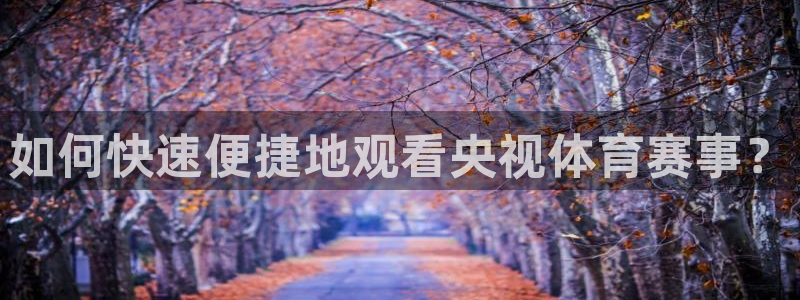 龙门体育直播：如何快速便捷地观看央视体育赛事？