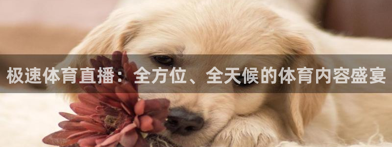 龙门直播官网：极速体育直播：全方位、全天候的体育内容盛宴