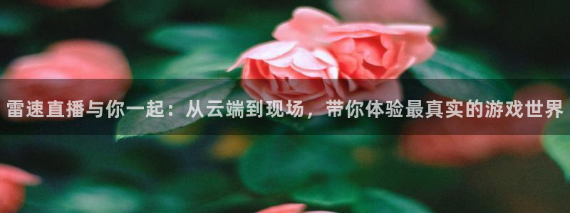 龙门直播：雷速直播与你一起：从云端到现场，带你体验最真实的游戏世界