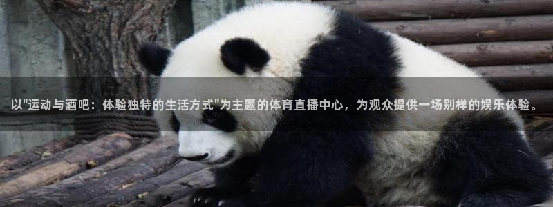 中超龙门直播：以\