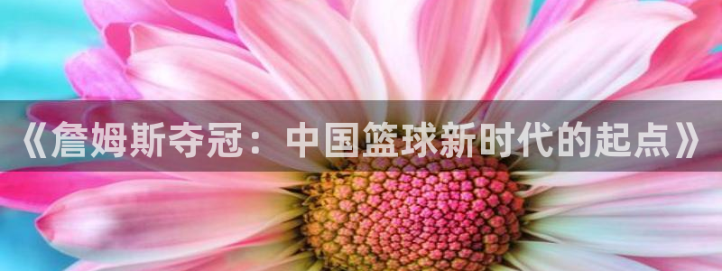 龙门直播app足球直播：《詹姆斯夺冠：中国篮球新时代的起点》