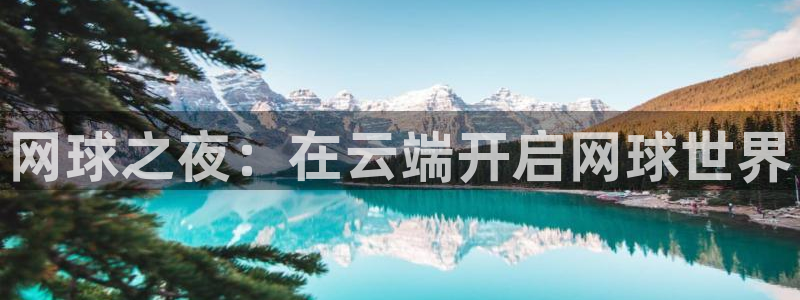 龙门nba直播：网球之夜：在云端开启网球世界